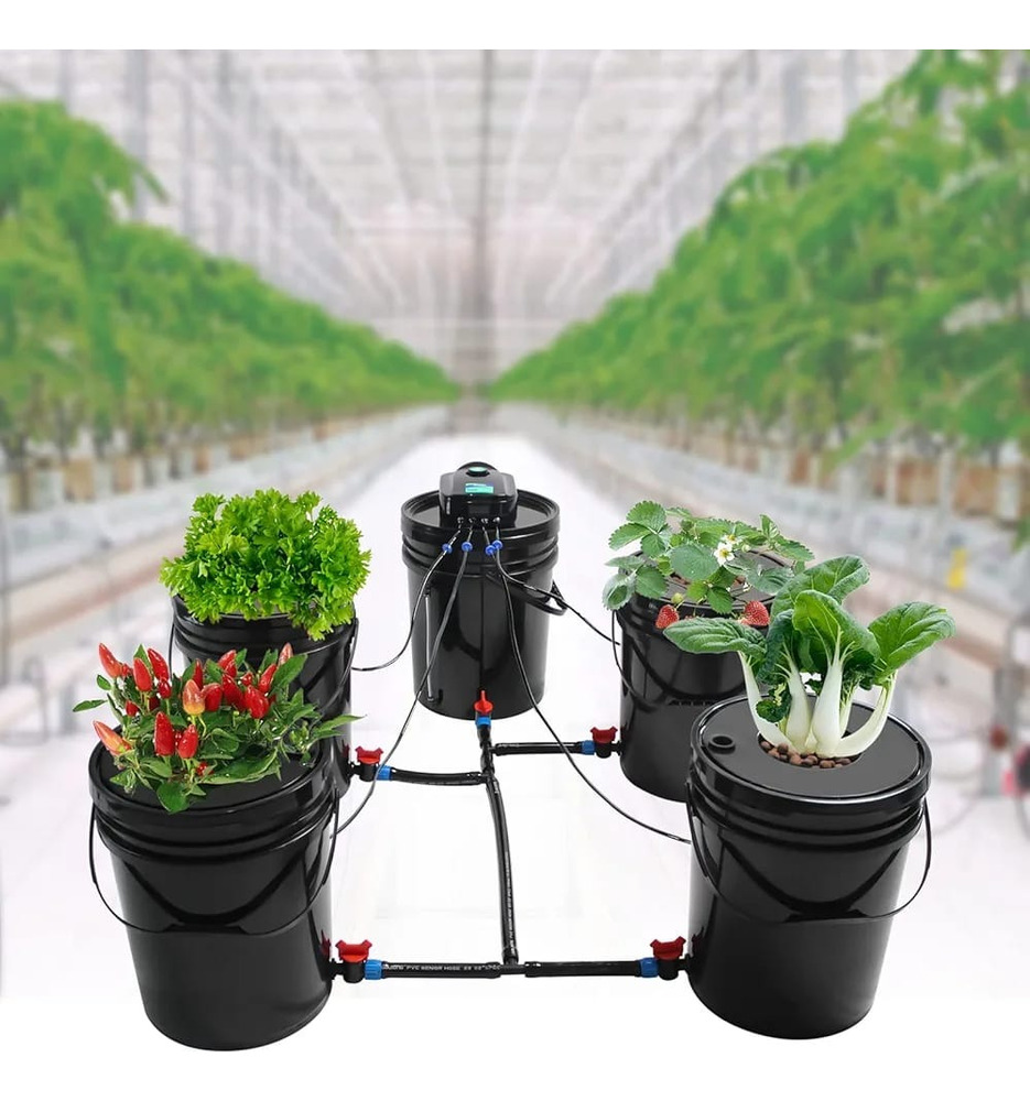 Macetas Cultivo Hidropónico Orgánico Grow Completo Indoor - Imagen 5
