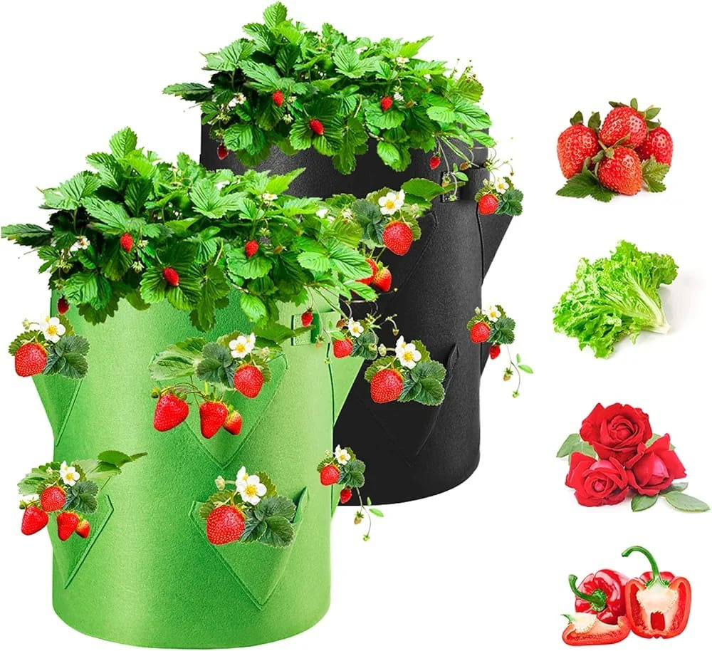 Cultivos Orgánicos Maceta Frutillas Tomate Huerta Orgánica - Imagen 10