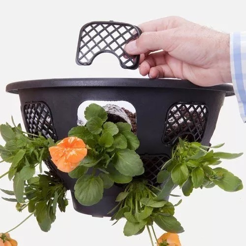 3 Maceta Colgante Múltiple Agujero Florales 40% Off. London Negro London Style - Imagen 2