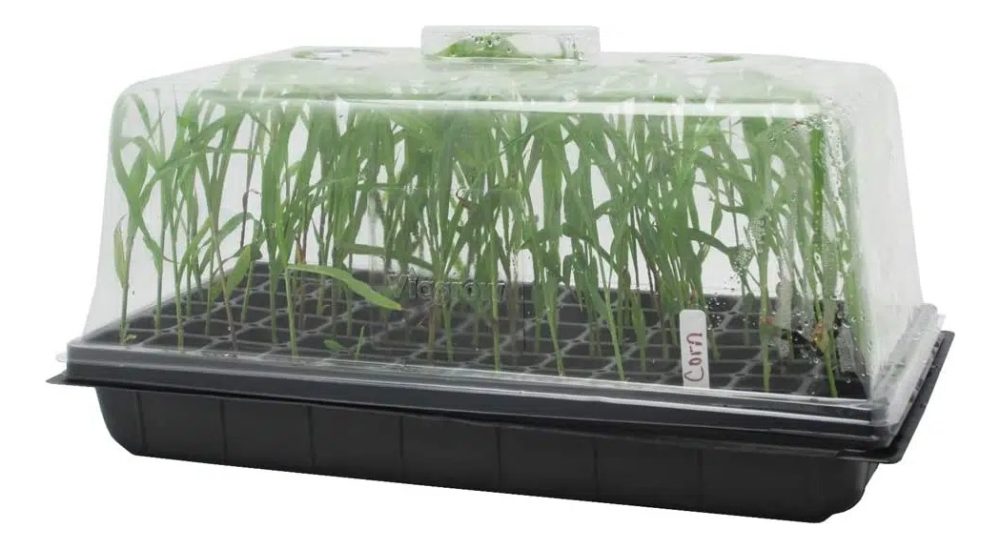 Cultivos Orgánicos Almacigueras Huerta Indoor Plantines Verde Almaciguera - Imagen 2