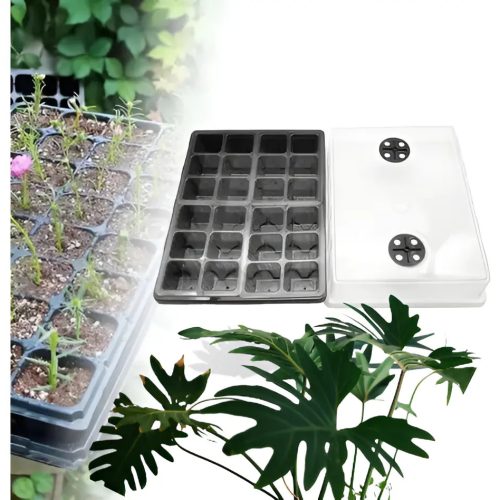 Cultivos Orgánicos Almacigueras Huerta Indoor Plantines Verde Almaciguera