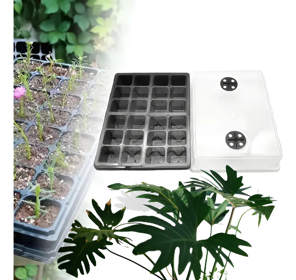 Cultivos Orgánicos Almacigueras Huerta Indoor Plantines Verde Almaciguera