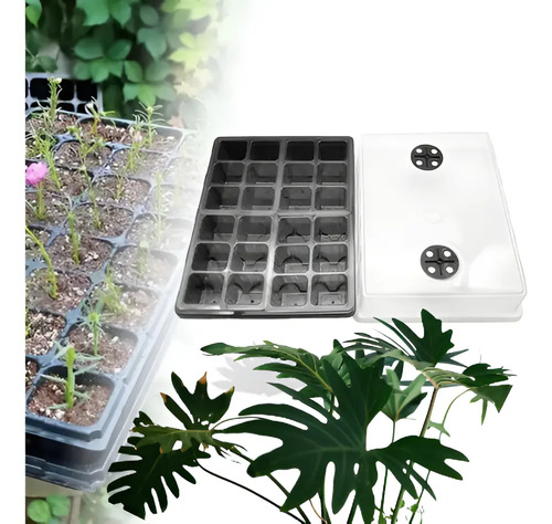 Cultivos Orgánicos Almacigueras Huerta Indoor Plantines