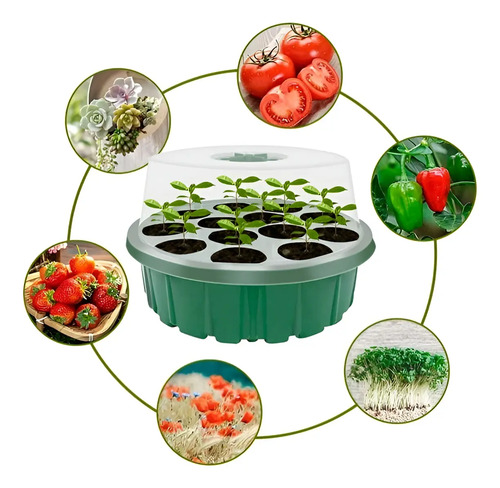 Cultivos Orgánicos Almacigueras Huerta Indoor Plantines