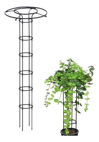 Pérgola Tutor Estructura Rosaleda Jazmín Jardín Plantas 2,15