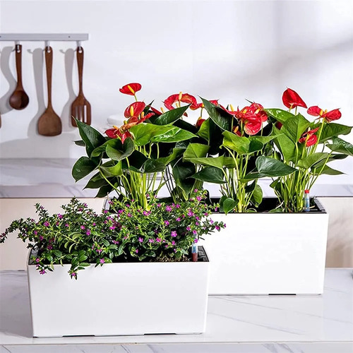 Jardinera Colgante Green Valley Huerta 36cm Con Mensulas - Imagen 11