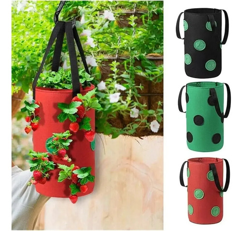 Maceta Plantas Huerta Frutilla 20 Litros Jardín Hortalizas - Imagen 10