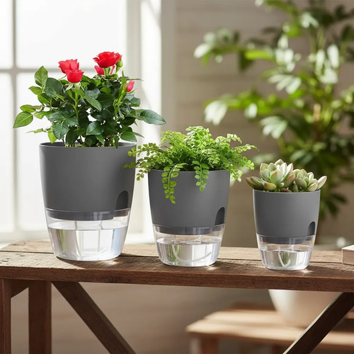 3 Macetas Hidropónicas Planta De Interior Oficina Casa 20 Cm