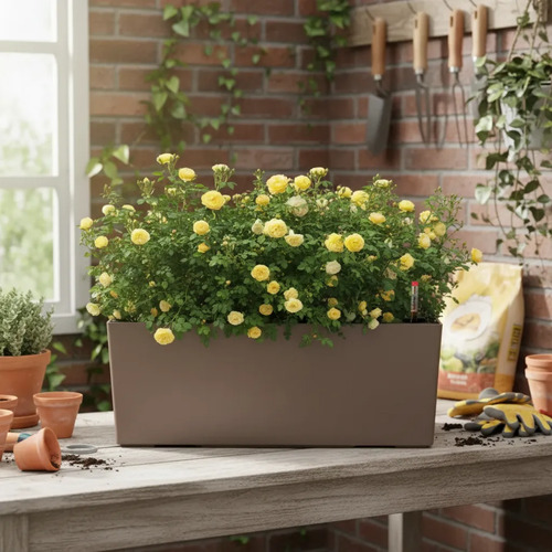 Jardinera Colgante Green Valley Huerta 36cm Con Mensulas